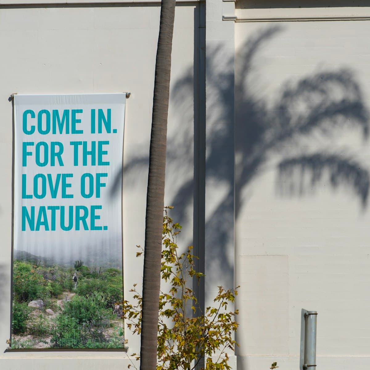 Banners & signs